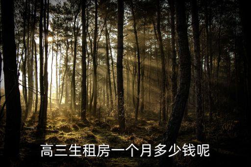 高三生租房一个月多少钱呢