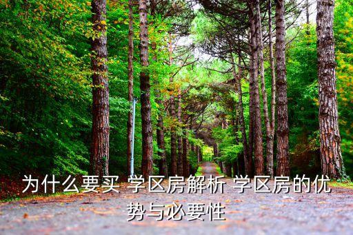 厦门学区房投资价格怎么样