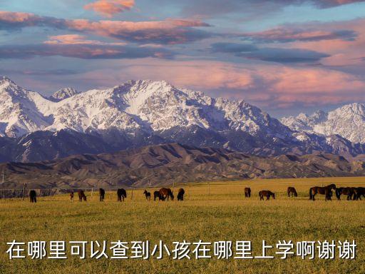 在哪里可以查到小孩在哪里上学啊谢谢