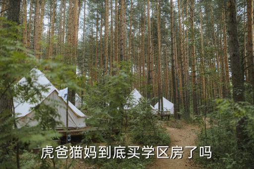 买学区房都经历了什么，虎爸猫妈到底买学区房了吗