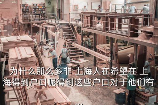 为什么那么多非 上海人在希望在 上海得到户口呢得到这些户口对于他们有...