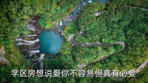 学区房想说娶你不容易但真有必要