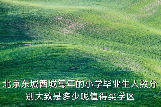 北京东城西城每年的小学毕业生人数分别大致是多少呢值得买学区
