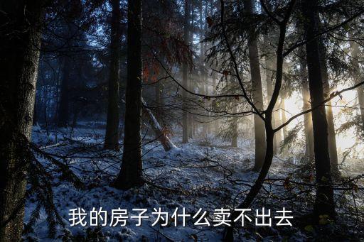 为什么房子无学区房不好卖，我的房子为什么卖不出去