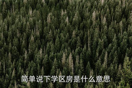 简单说下学区房是什么意思