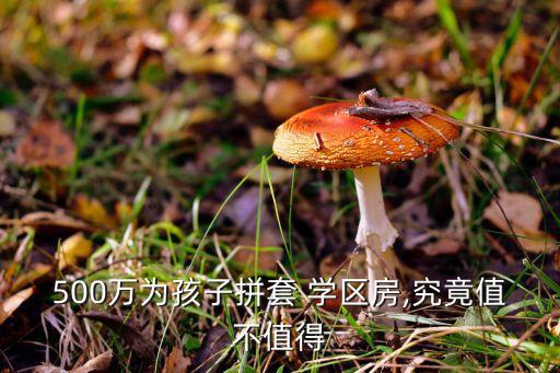 500万为孩子拼套 学区房,究竟值不值得