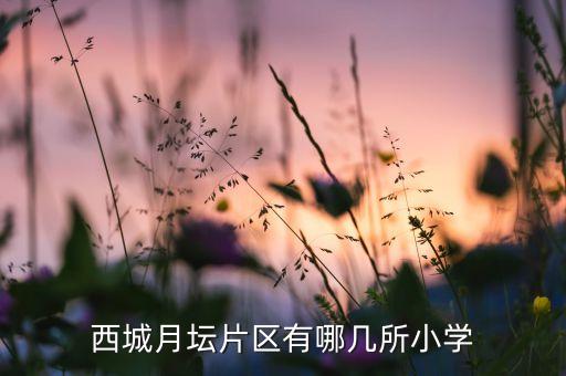 西城月坛片区有哪几所小学