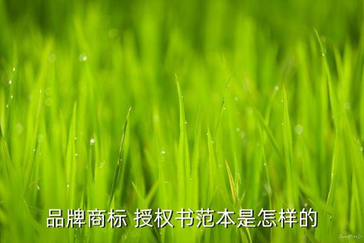 品牌商标 授权书范本是怎样的