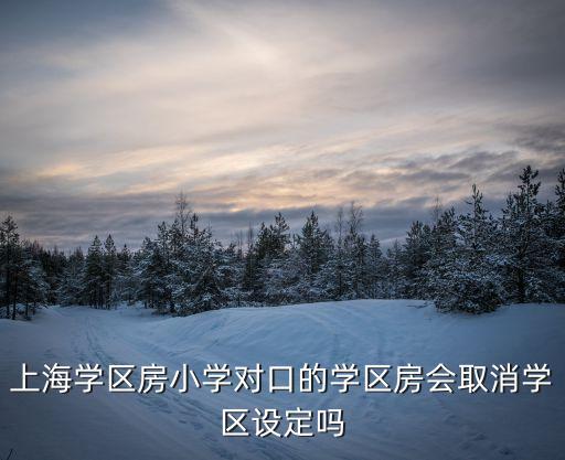 上海学区房小学对口的学区房会取消学区设定吗