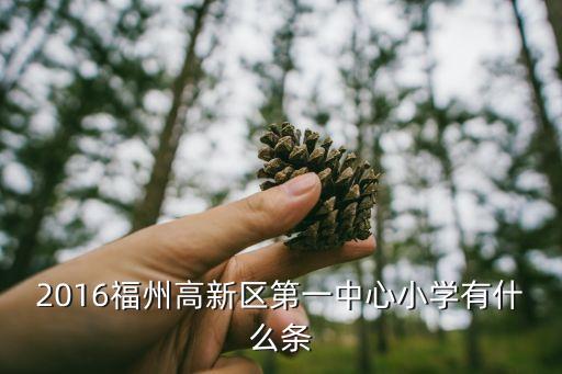 2016福州高新区第一中心小学有什么条