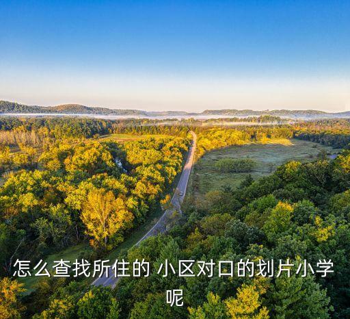 怎么查找所住的 小区对口的划片小学呢