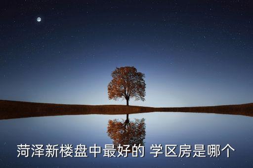 菏泽新楼盘中最好的 学区房是哪个