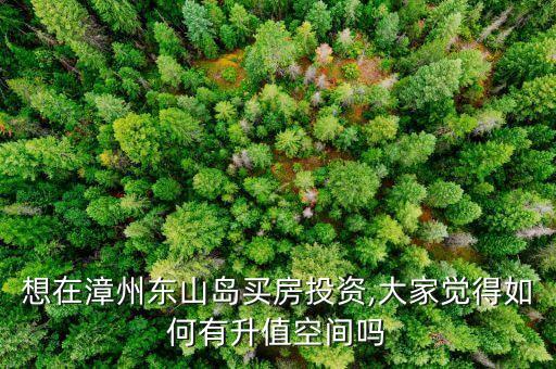 想在漳州东山岛买房投资,大家觉得如何有升值空间吗