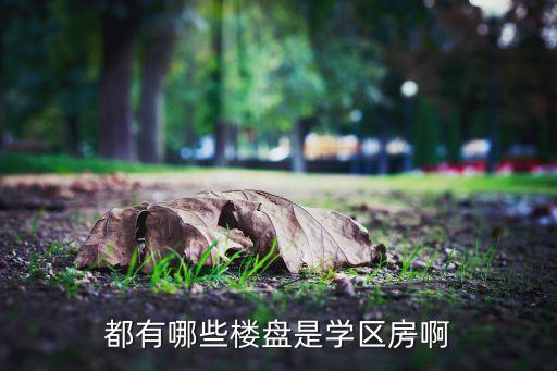 城南公寓是什么学区房啊，蒙城城南新区哪些小区属于附小学区