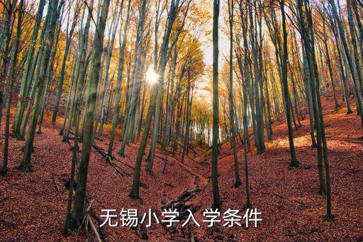 无锡学区房入学有什么条件，外地人在无锡买了房小孩上学需哪些条件