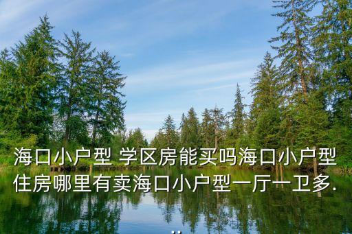 海口小户型 学区房能买吗海口小户型住房哪里有卖海口小户型一厅一卫多...