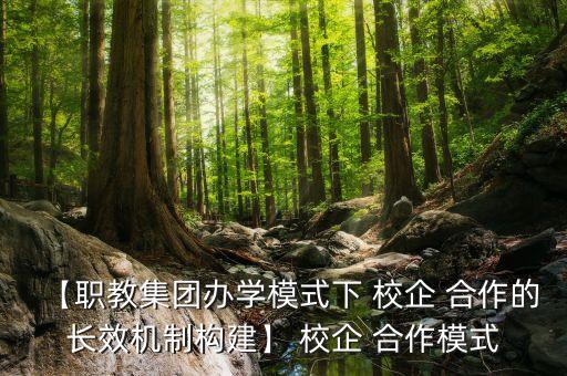 【职教集团办学模式下 校企 合作的长效机制构建】 校企 合作模式