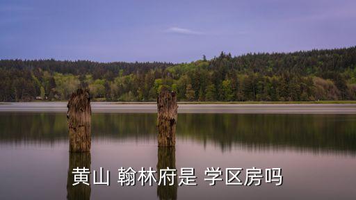 黄山 翰林府是 学区房吗
