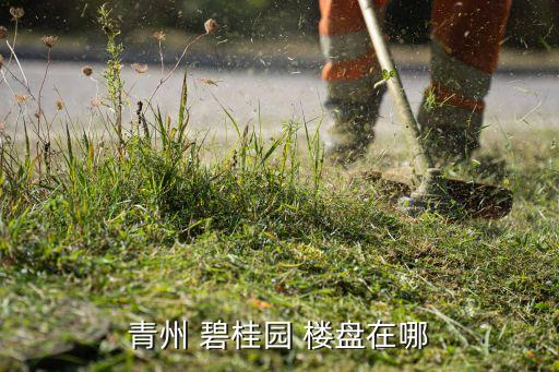 碧桂园楼盘,嘉善碧桂园楼盘