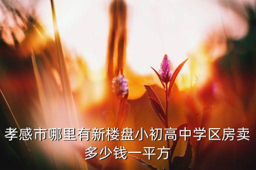 孝感市哪里有新楼盘小初高中学区房卖多少钱一平方