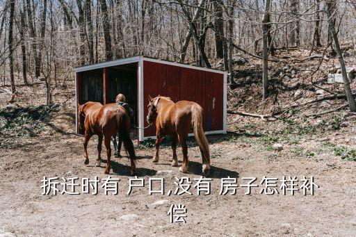  拆迁时有 户口,没有 房子怎样补偿