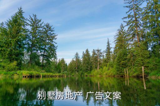 别墅房地产 广告文案