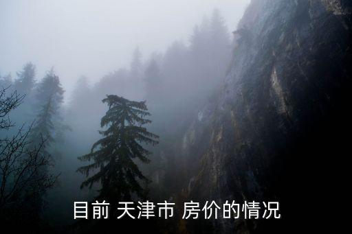 目前 天津市 房价的情况