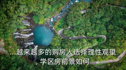 ...越来越多的购房人选择理性观望, 学区房前景如何