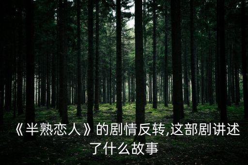 《半熟恋人》的剧情反转,这部剧讲述了什么故事