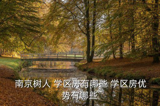  南京树人 学区房有哪些 学区房优势有哪些