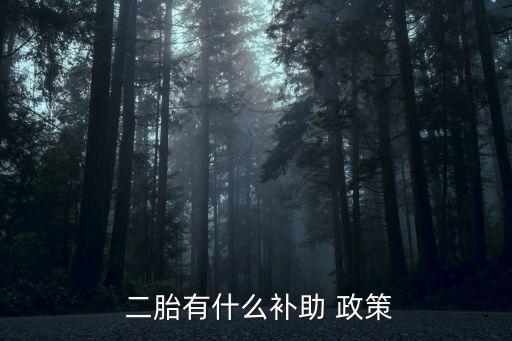  二胎有什么补助 政策