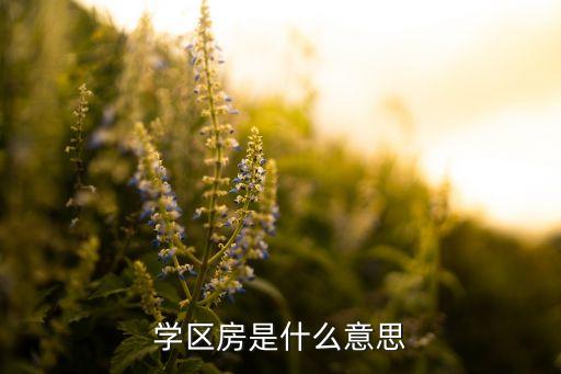 学区房是什么意思