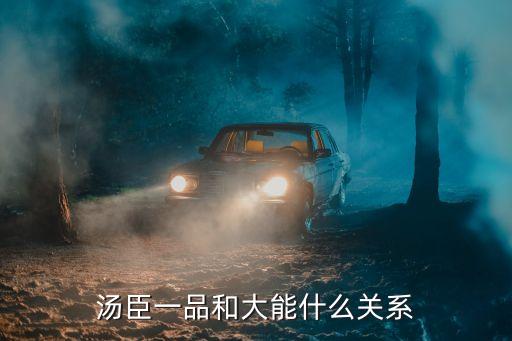 汤臣一品和大能什么关系