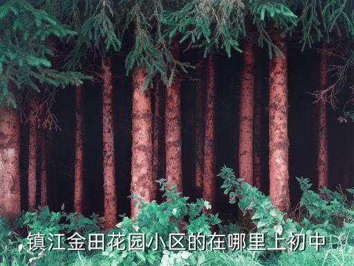 镇江金田花园小区的在哪里上初中