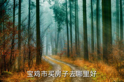 学区房和高铁站哪个好,驻马店高铁新城属于哪个学区