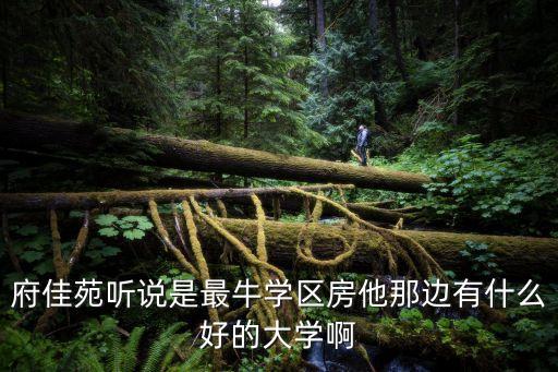 府佳苑听说是最牛学区房他那边有什么好的大学啊