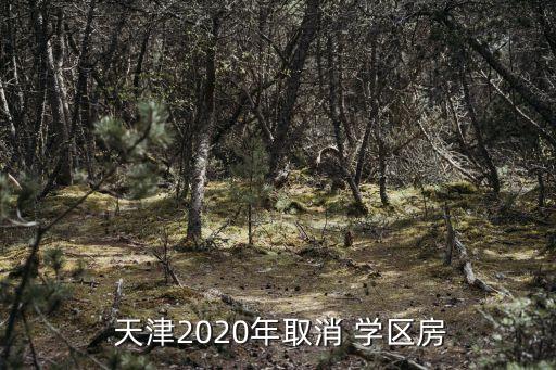  天津2020年取消 学区房