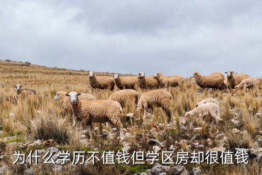 为什么学历不值钱但学区房却很值钱