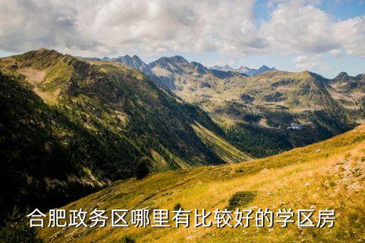 合肥政务区哪里有比较好的学区房