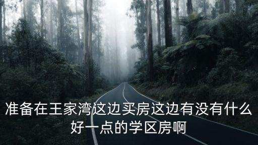 准备在王家湾这边买房这边有没有什么好一点的学区房啊