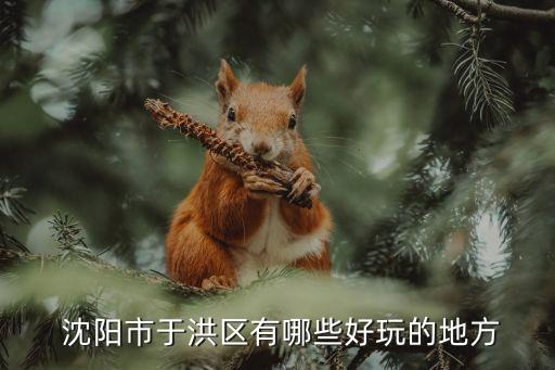沈阳丁香湖学区房有哪些,育才丁香湖小学学区房