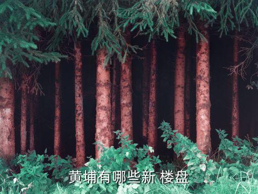 广州在售新楼盘住宅,2022成都在售住宅新楼盘