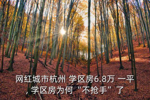 廉江学区房多少钱一平,廉江美景多少钱一平