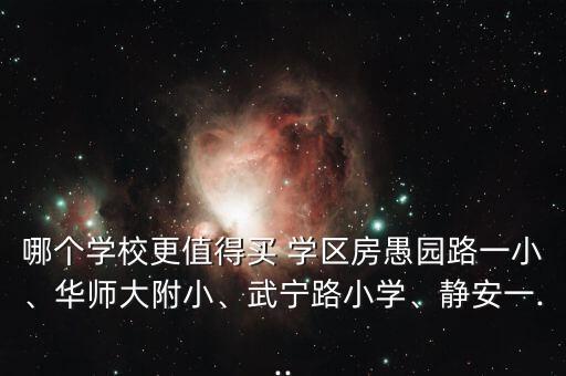 哪个学校更值得买 学区房愚园路一小、华师大附小、武宁路小学、静安一...