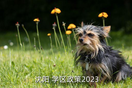 教育局学区房查询系统沈阳,苏州教育局学区查询系统