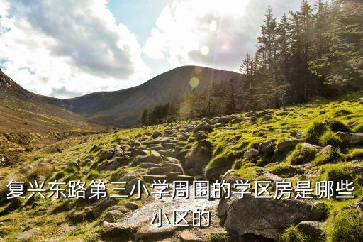 复兴东路第三小学周围的学区房是哪些小区的