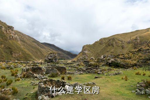 什么是学区房