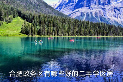合肥政务区有哪些好的二手学区房