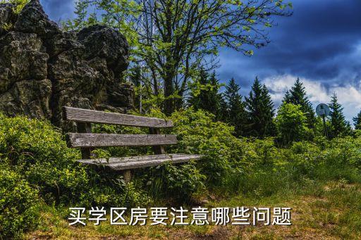 买学区房要注意哪些问题