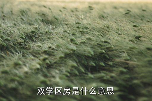 双学区房是什么意思